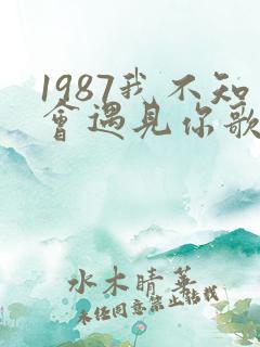 1987我不知会遇见你歌词是什么意思