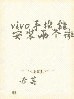 vivo手机能安装两个微信吗