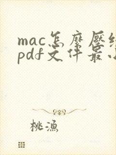 mac怎么压缩pdf文件最小