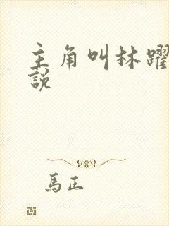 主角叫林跃的小说