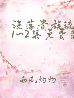 没落贵族琉璃川1~2集免费观看