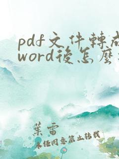pdf文件转成word后怎么进行修改