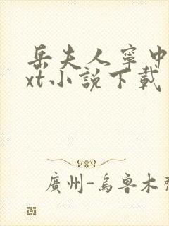 岳夫人宁中则txt小说下载