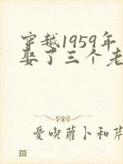 穿越1959年娶了三个老婆的小说免费阅