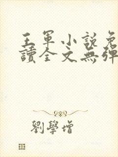 王军小说免费阅读全文无弹窗