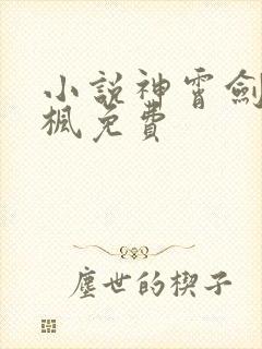 小说神霄剑宗林枫免费