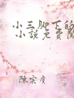 小三脚下的主母 小说免费阅读