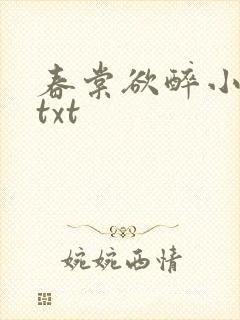 春棠欲醉小说.txt