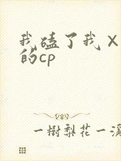 我磕了我×对家的cp