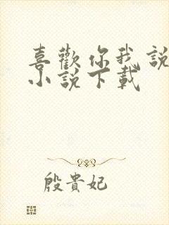 喜欢你我说了算小说下载