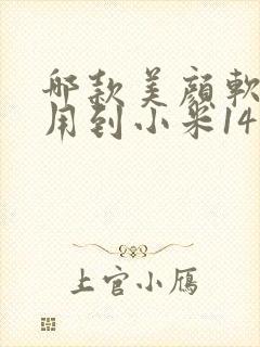 哪款美颜软件能用到小米14微信视频里