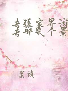 去张家界游玩必去哪几个景点好玩