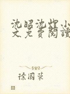 沈昭沈煜小说全文免费阅读