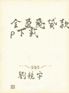 金盈飞贷款app下载