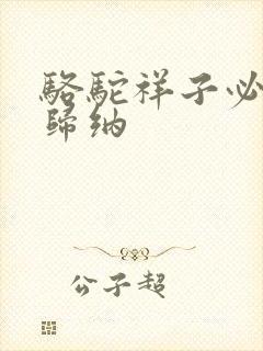 骆驼祥子必考点归纳