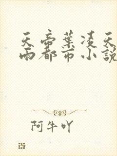 天帝叶凌天叶小雨都市小说