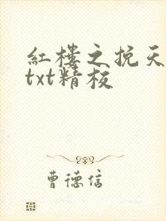 红楼之挽天倾无txt精校