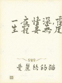 一夜情深,霍先生宠妻无度小说全部章节