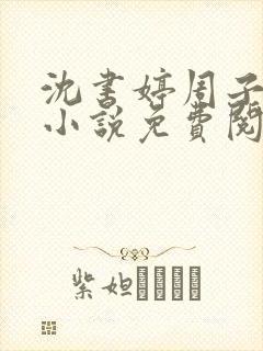 沈书婷周子元的小说免费阅读