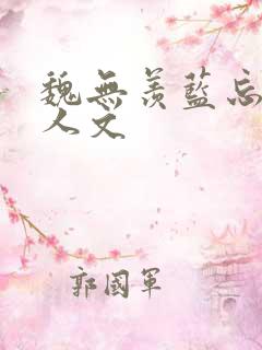 魏无羡蓝忘机同人文