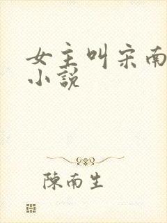 女主叫宋南汐的小说