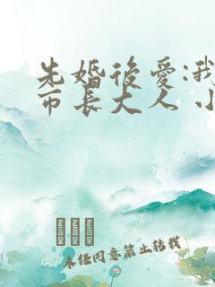 先婚后爱:我的市长大人 小说