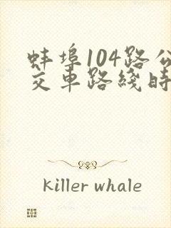 蚌埠104路公交车路线时间表