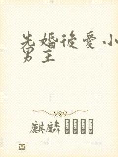 先婚后爱小说双男主