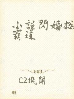 小说闪婚总裁太霸道