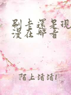 刷卡还是现金韩漫在哪看