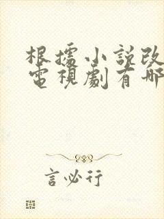 根据小说改编的电视剧有哪些