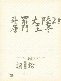 斗罗大陆2绝世唐门 王冬