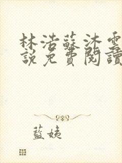 林浩苏沐云的小说免费阅读全文