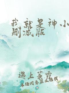 我就是神小说无删减版
