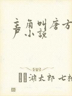 主角叫唐方的僵尸小说