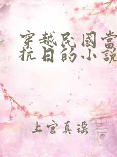 穿越民国当土匪抗日的小说