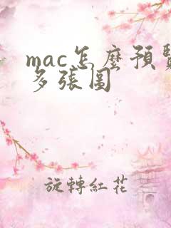mac怎么预览多张图