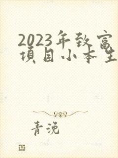 2023年致富项目小本生意