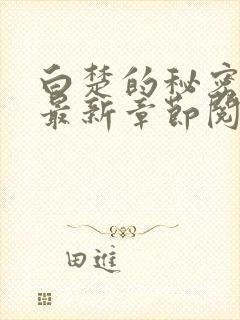 白楚的秘密小说最新章节阅读全文