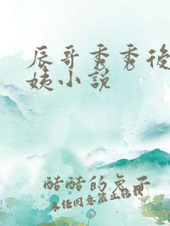 辰哥秀秀后妈丽姨小说