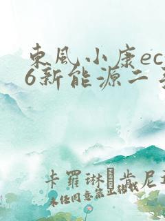 东风小康ec36新能源二手车