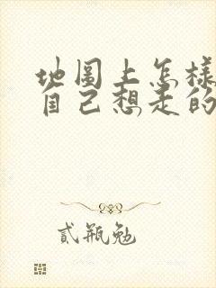 地图上怎样规划自己想走的路线