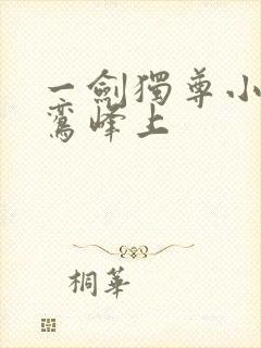 一剑独尊小说青鸾峰上