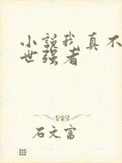 小说我真不是绝世强者