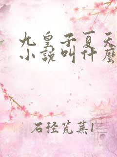 九皇子夏天穿越小说叫什么