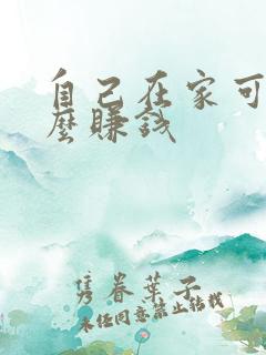 自己在家可以怎么赚钱