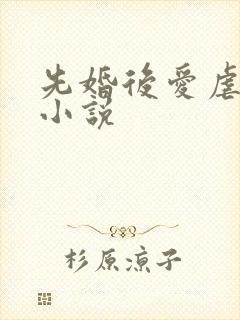 先婚后爱虐恋的小说