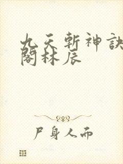 九天斩神诀笔趣阁林辰