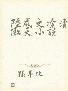 陆成文冷清秋龙傲天小说