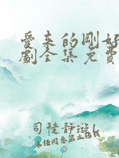 爱来的刚好电视剧全集免费观看西瓜